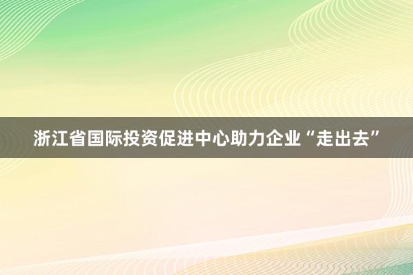 浙江省国际投资促进中心助力企业“走出去”