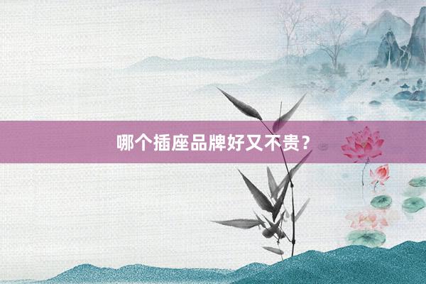 哪个插座品牌好又不贵？