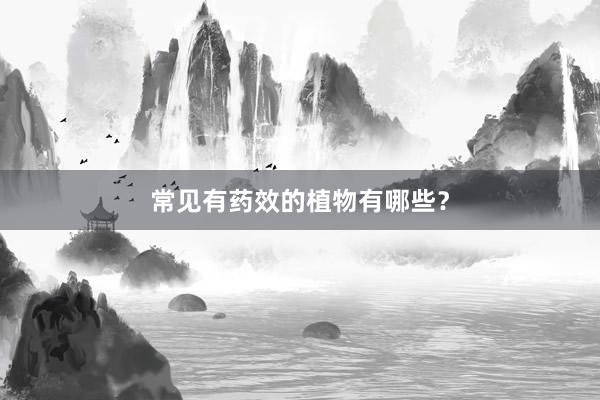 常见有药效的植物有哪些？